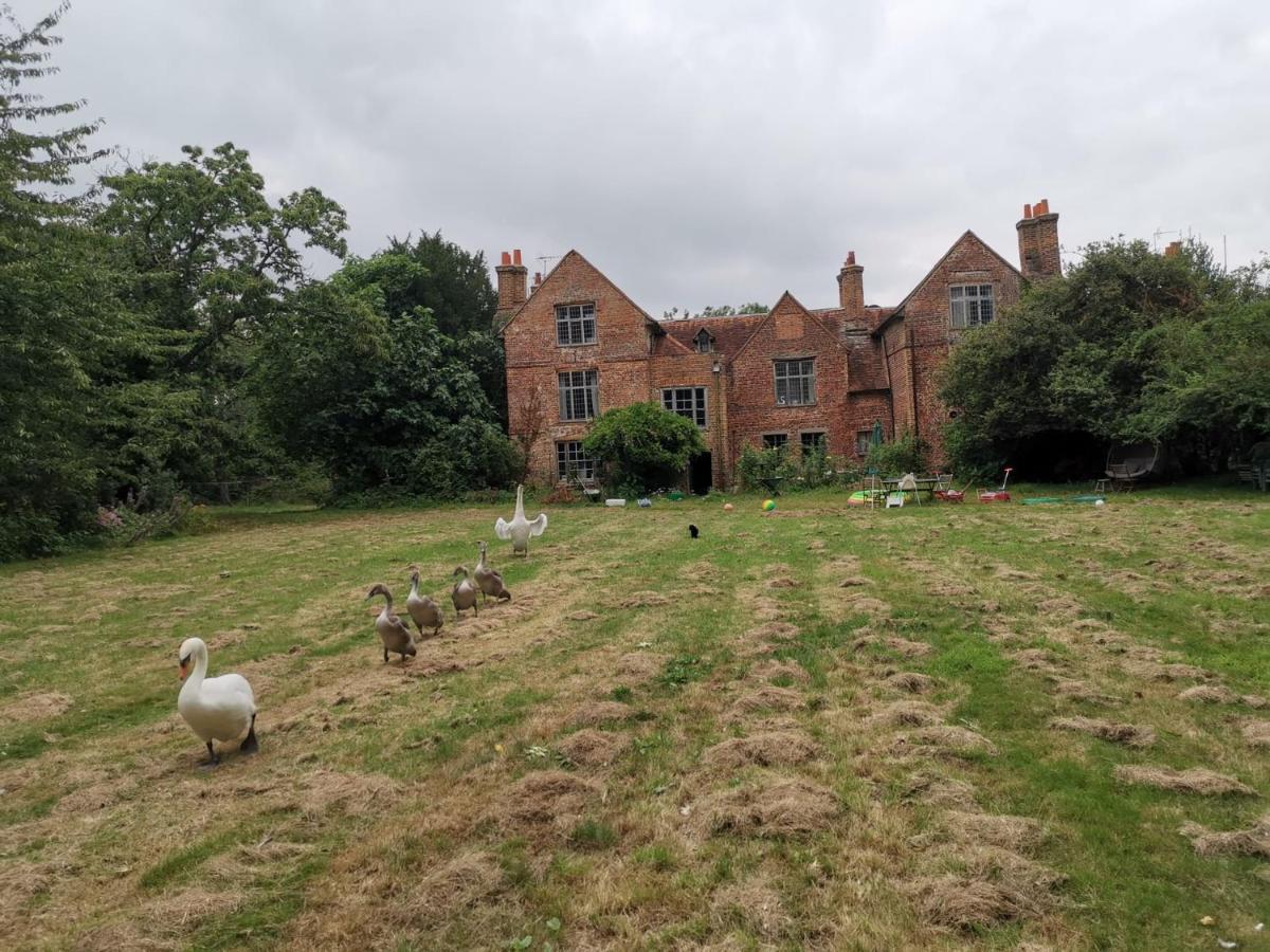 Bed and Breakfast Old Manor House Shepperton Exterior foto